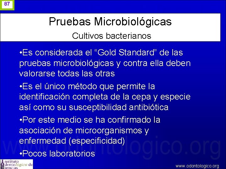 87 Pruebas Microbiológicas Cultivos bacterianos • Es considerada el “Gold Standard” de las pruebas