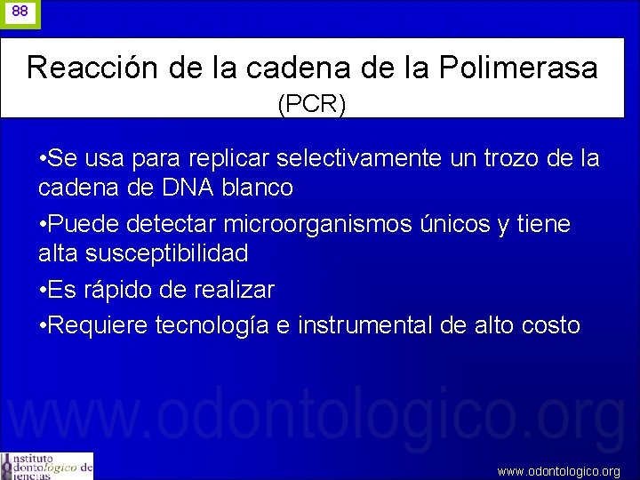 88 Reacción de la cadena de la Polimerasa (PCR) • Se usa para replicar