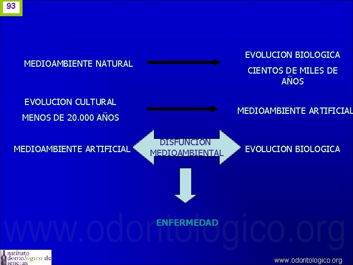 93 EVOLUCION BIOLOGICA MEDIOAMBIENTE NATURAL CIENTOS DE MILES DE AÑOS EVOLUCION CULTURAL MEDIOAMBIENTE ARTIFICIAL