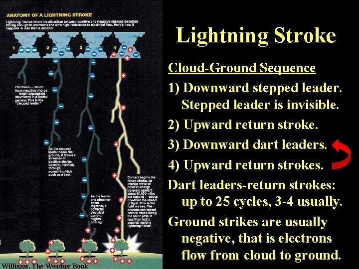 Step Leader NATS 101 Lecture 28 Lightning Review Thunderstorms A