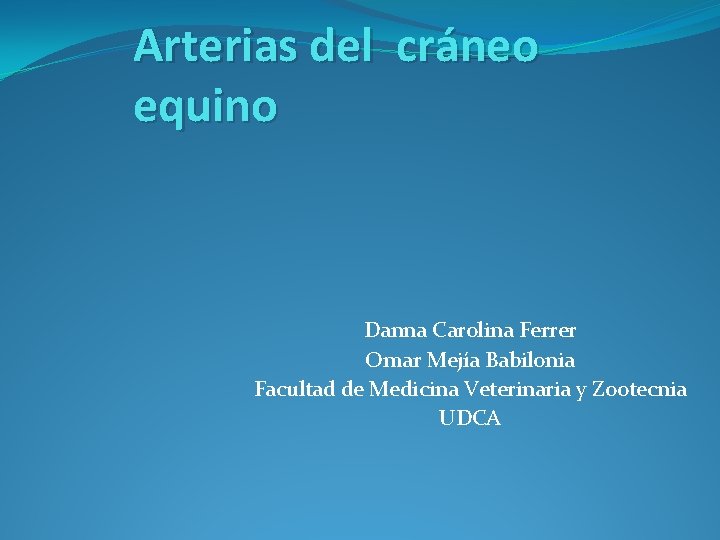 Arterias del cráneo equino Danna Carolina Ferrer Omar Mejía Babilonia Facultad de Medicina Veterinaria