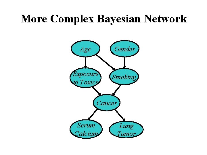 More Complex Bayesian Network Age Gender Exposure to Toxics Smoking Cancer Serum Calcium Lung