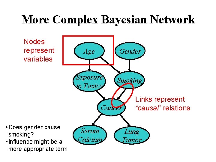 More Complex Bayesian Network Nodes represent variables Age Gender Exposure to Toxics Smoking Cancer