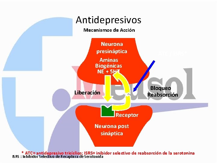 Antidepresivos Mecanismos de Acción Neurona presináptica Aminas Biogénicas NE + 5 HT ATC /