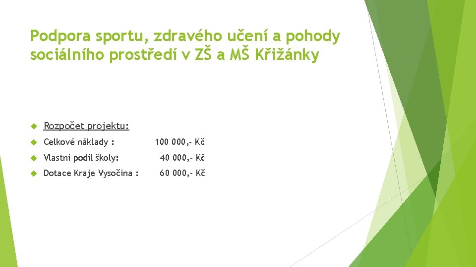 Podpora sportu, zdravého učení a pohody sociálního prostředí v ZŠ a MŠ Křižánky Rozpočet