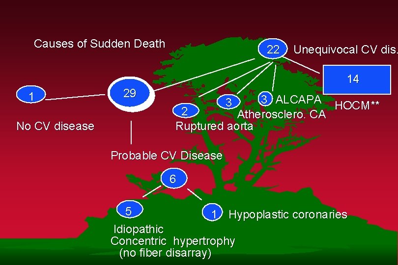 Causes of Sudden Death 22 Unequivocal CV dis. 14 1 No CV disease 29 Causes of Sudden Death 22 Unequivocal CV dis. 14 1 No CV disease 29