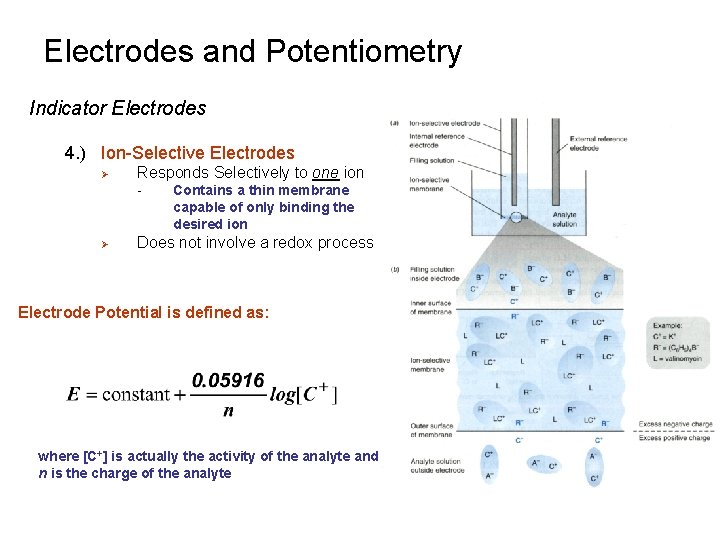 Electrodes and Potentiometry Indicator Electrodes 4. ) Ion-Selective Electrodes Ø Responds Selectively to one Electrodes and Potentiometry Indicator Electrodes 4. ) Ion-Selective Electrodes Ø Responds Selectively to one