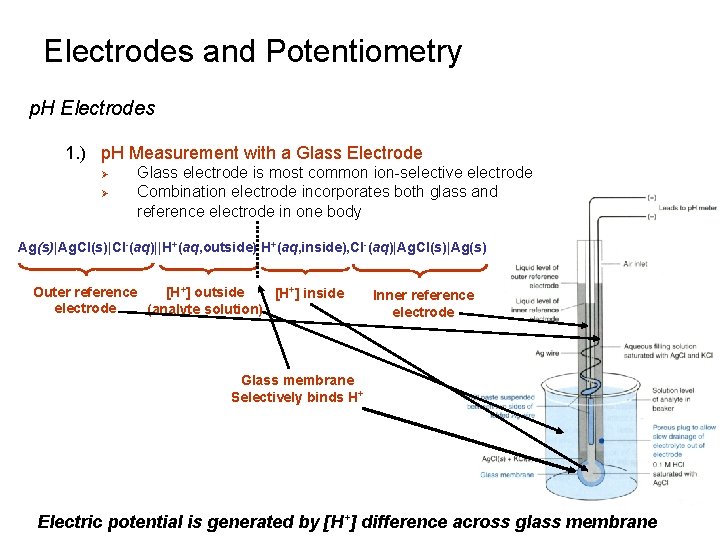 Electrodes and Potentiometry p. H Electrodes 1. ) p. H Measurement with a Glass Electrodes and Potentiometry p. H Electrodes 1. ) p. H Measurement with a Glass