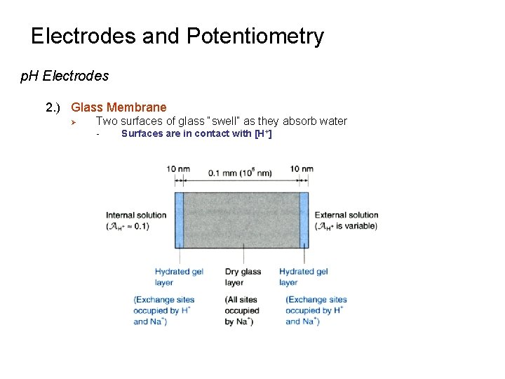 Electrodes and Potentiometry p. H Electrodes 2. ) Glass Membrane Ø Two surfaces of Electrodes and Potentiometry p. H Electrodes 2. ) Glass Membrane Ø Two surfaces of