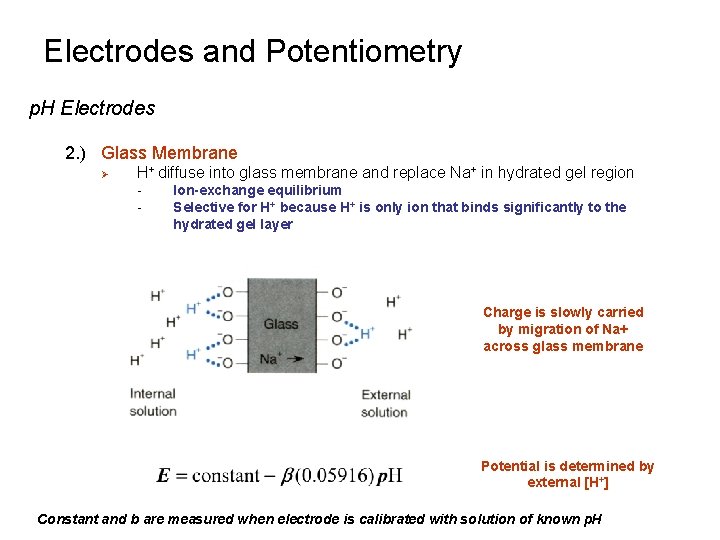Electrodes and Potentiometry p. H Electrodes 2. ) Glass Membrane Ø H+ diffuse into Electrodes and Potentiometry p. H Electrodes 2. ) Glass Membrane Ø H+ diffuse into