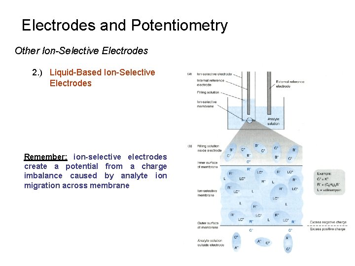Electrodes and Potentiometry Other Ion-Selective Electrodes 2. ) Liquid-Based Ion-Selective Electrodes Remember: ion-selective electrodes Electrodes and Potentiometry Other Ion-Selective Electrodes 2. ) Liquid-Based Ion-Selective Electrodes Remember: ion-selective electrodes