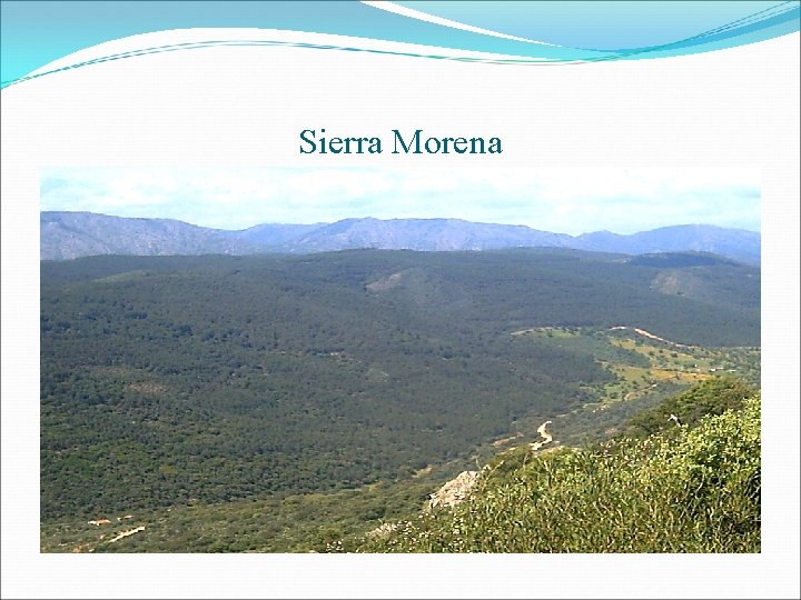 Sierra Morena 