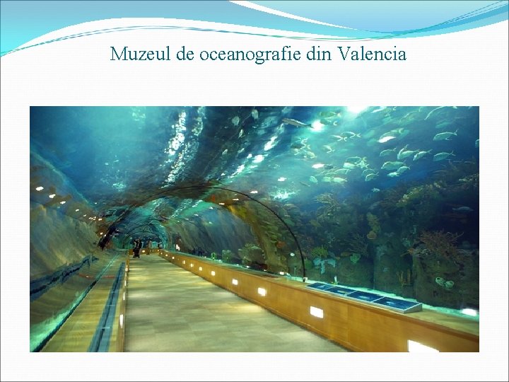 Muzeul de oceanografie din Valencia 