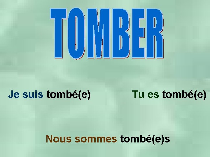 Je suis tombé(e) Tu es tombé(e) Nous sommes tombé(e)s 