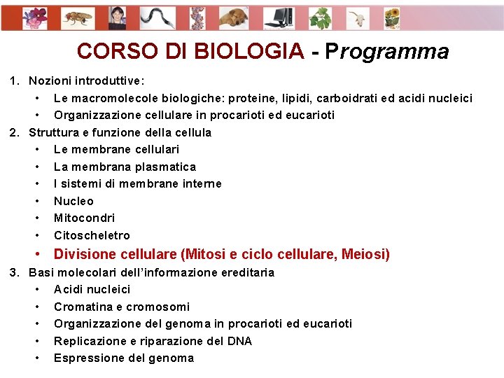 CORSO DI BIOLOGIA - Programma 1. Nozioni introduttive: • Le macromolecole biologiche: proteine, lipidi,