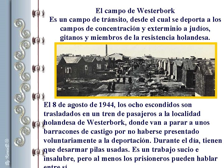 El campo de Westerbork Es un campo de tránsito, desde el cual se deporta El campo de Westerbork Es un campo de tránsito, desde el cual se deporta