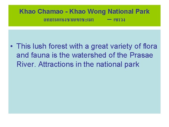 Khao Chamao - Khao Wong National Park อทยานแหงชาตเขาชะเมา – เขาวง • This lush forest