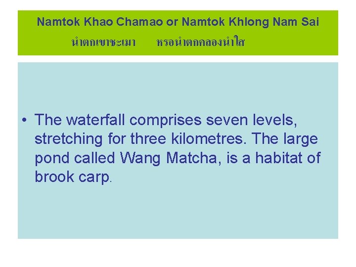 Namtok Khao Chamao or Namtok Khlong Nam Sai นำตกเขาชะเมา หรอนำตกคลองนำใส • The waterfall comprises