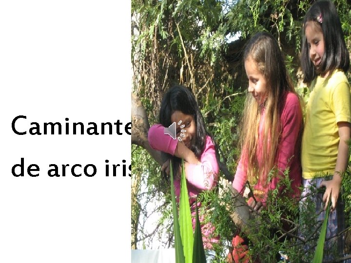 Caminantes de arco iris 