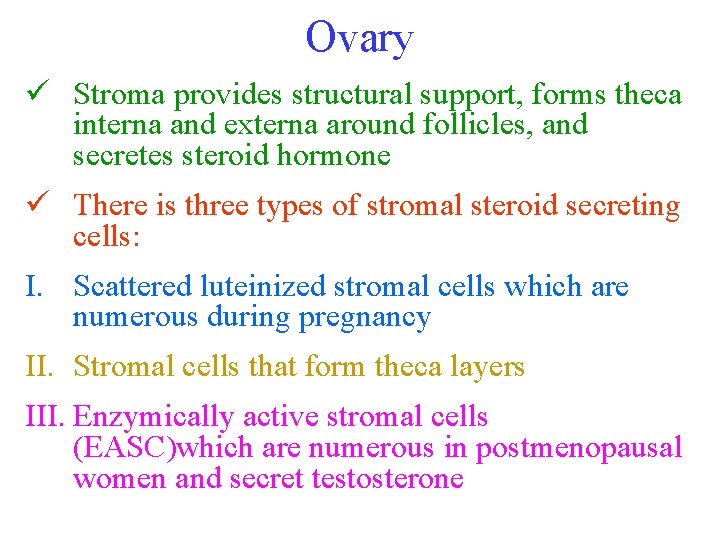 Ovary ü Stroma provides structural support, forms theca interna and externa around follicles, and