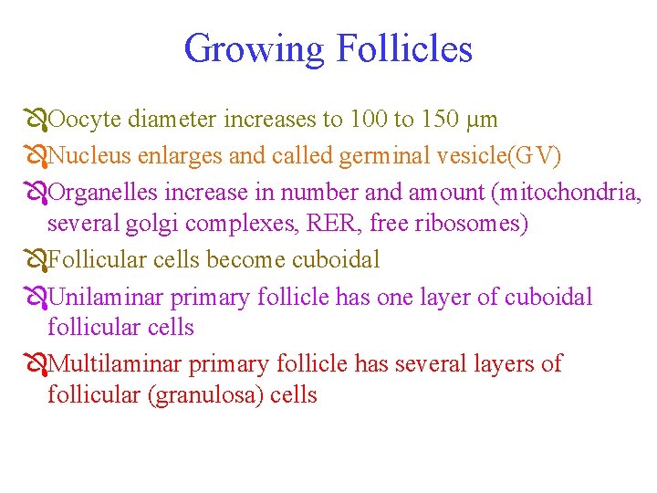 Growing Follicles ÔOocyte diameter increases to 100 to 150 µm ÔNucleus enlarges and called