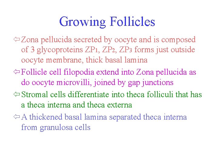 Growing Follicles ï Zona pellucida secreted by oocyte and is composed of 3 glycoproteins
