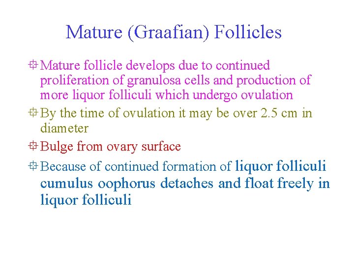 Mature (Graafian) Follicles ° Mature follicle develops due to continued proliferation of granulosa cells