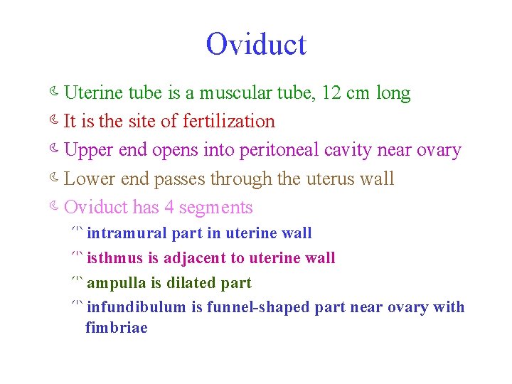 Oviduct àUterine tube is a muscular tube, 12 cm long àIt is the site