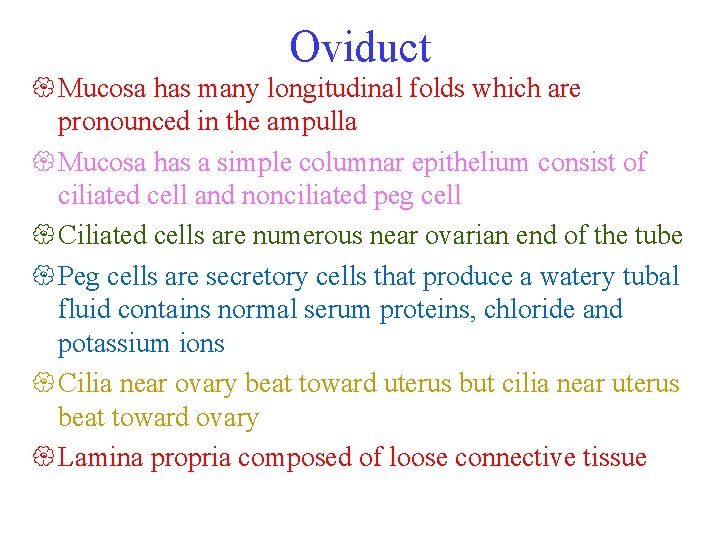 Oviduct { Mucosa has many longitudinal folds which are pronounced in the ampulla {