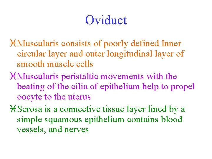 Oviduct i Muscularis consists of poorly defined Inner circular layer and outer longitudinal layer