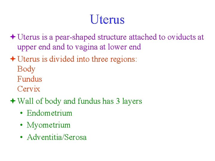 Uterus ª Uterus is a pear-shaped structure attached to oviducts at upper end and
