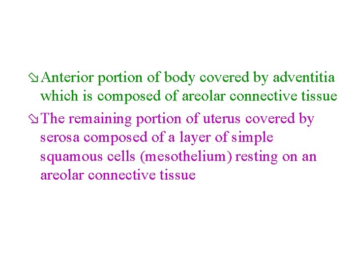 ø Anterior portion of body covered by adventitia which is composed of areolar connective