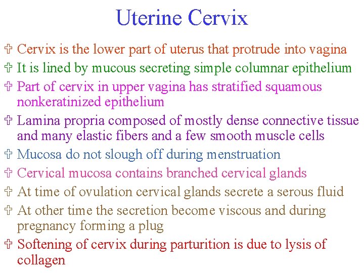 Uterine Cervix U Cervix is the lower part of uterus that protrude into vagina
