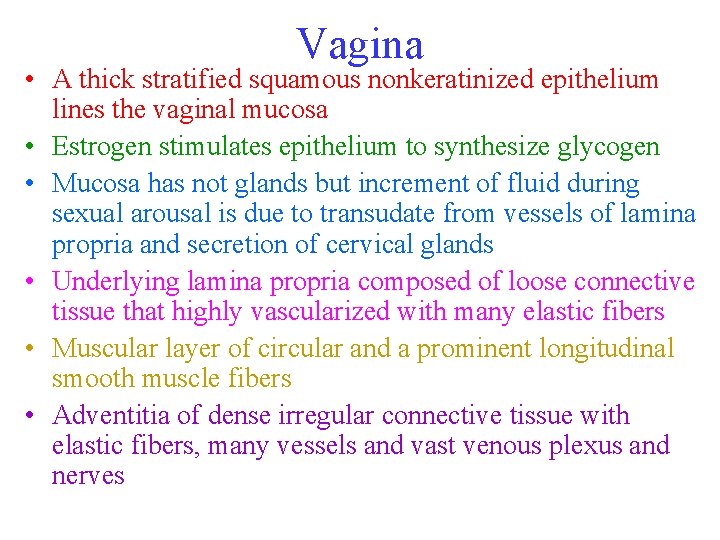 Vagina • A thick stratified squamous nonkeratinized epithelium lines the vaginal mucosa • Estrogen