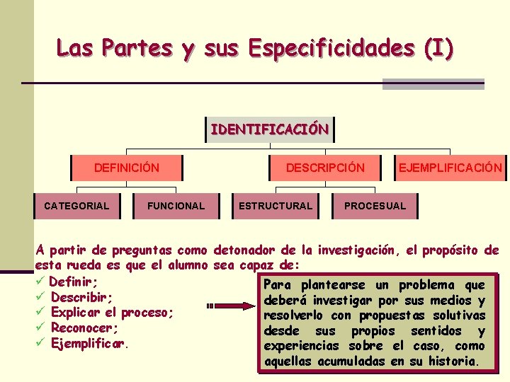 Las Partes y sus Especificidades (I) IDENTIFICACIÓN DEFINICIÓN CATEGORIAL FUNCIONAL DESCRIPCIÓN ESTRUCTURAL EJEMPLIFICACIÓN PROCESUAL