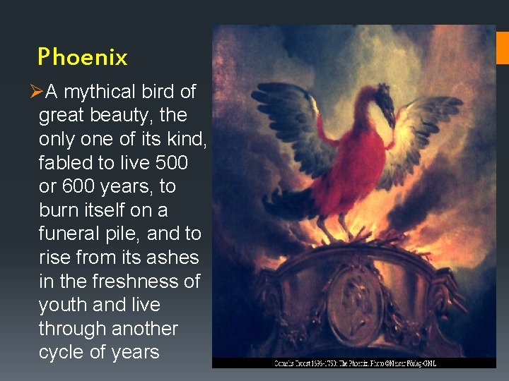 Phoenix ØA mythical bird of great beauty, the only one of its kind, Phoenix ØA mythical bird of great beauty, the only one of its kind,