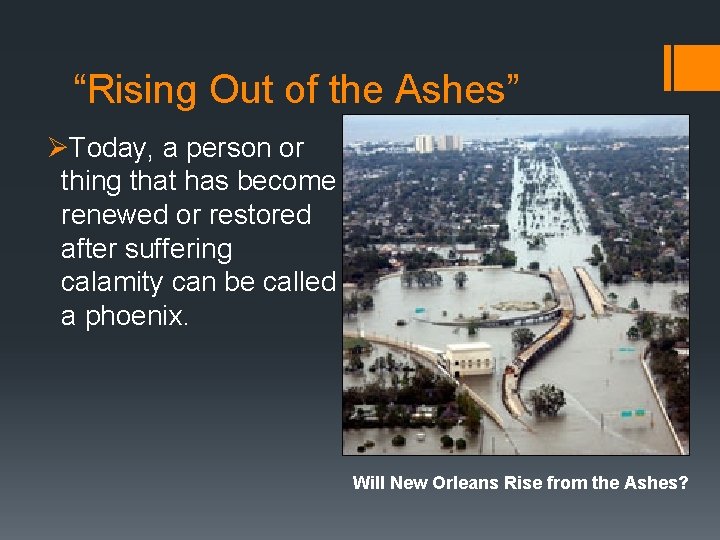 “Rising Out of the Ashes” ØToday, a person or thing that has become renewed “Rising Out of the Ashes” ØToday, a person or thing that has become renewed