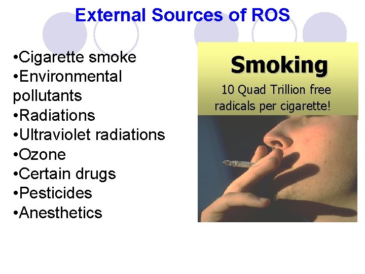 External Sources of ROS • Cigarette smoke • Environmental pollutants • Radiations • Ultraviolet