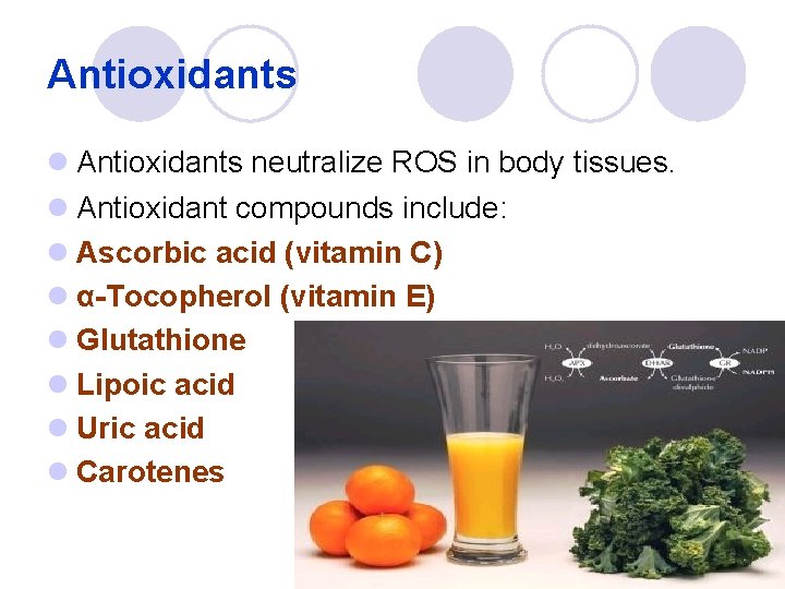 Antioxidants l Antioxidants neutralize ROS in body tissues. l Antioxidant compounds include: l Ascorbic