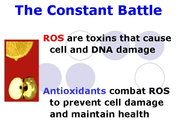 The Constant Battle ROS are toxins that cause cell and DNA damage Antioxidants combat