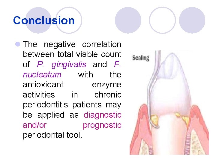 Conclusion l The negative correlation between total viable count of P. gingivalis and F.