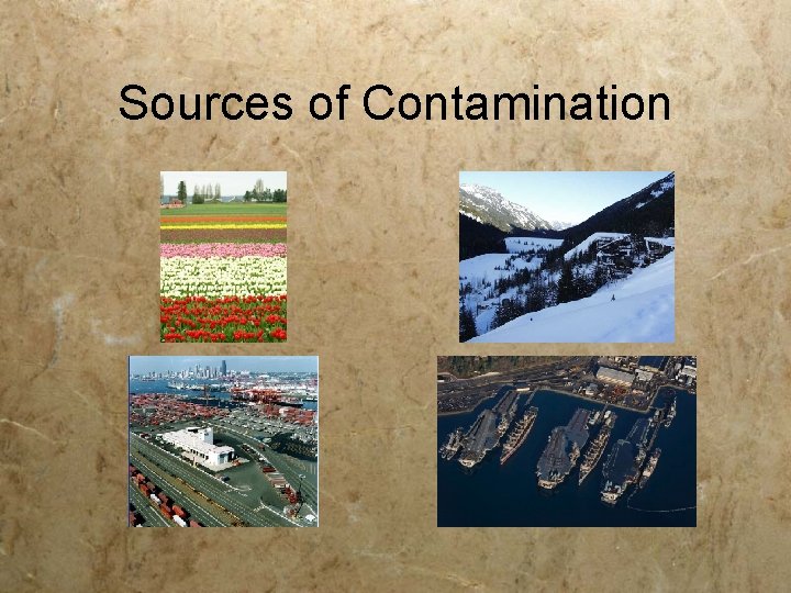 Sources of Contamination 