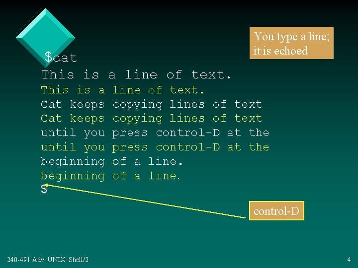 $cat This is a line of text. This is a Cat keeps until you