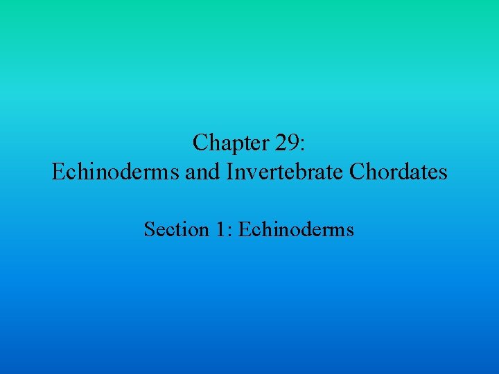 Chapter 29: Echinoderms and Invertebrate Chordates Section 1: Echinoderms 