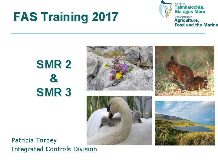 FAS Training 2017 SMR 2 & SMR 3 Patricia Torpey Integrated Controls Division 