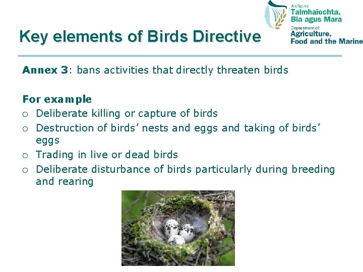 Key elements of Birds Directive Annex 3: bans activities that directly threaten birds For
