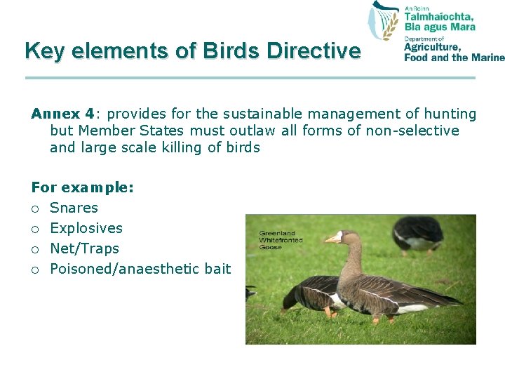 Key elements of Birds Directive Annex 4: provides for the sustainable management of hunting