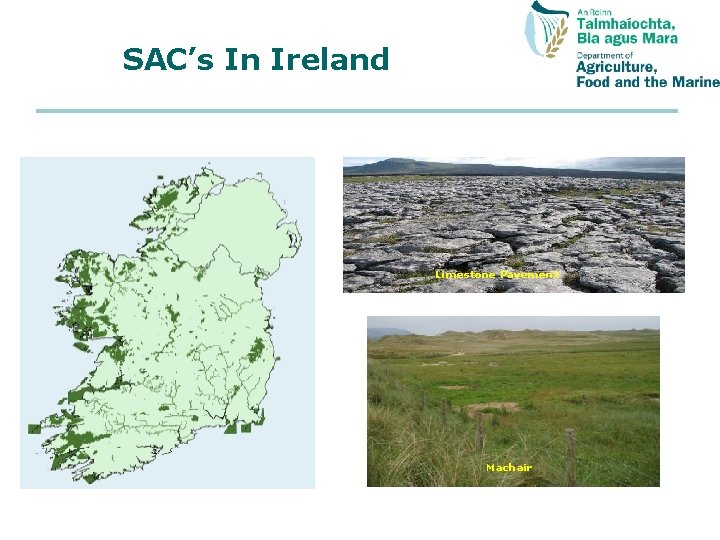 SAC’s In Ireland Limestone Pavement Machair Heath Sand Dune 