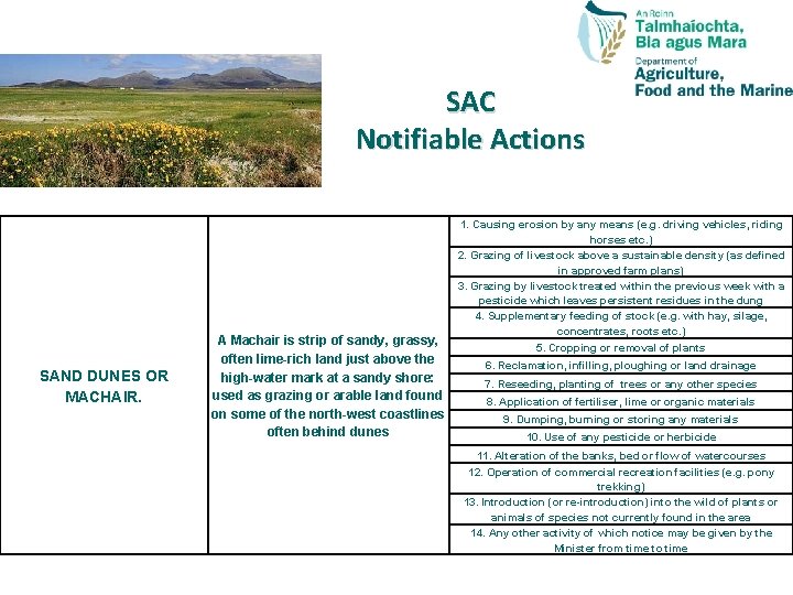 SAC Notifiable Actions SAND DUNES OR MACHAIR. A Machair is strip of sandy, grassy,
