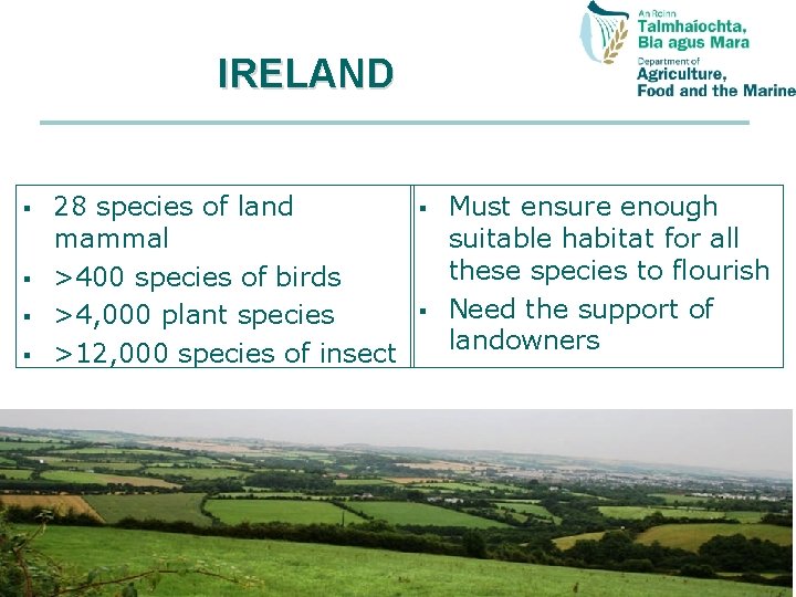 IRELAND § § 28 species of land mammal >400 species of birds >4, 000